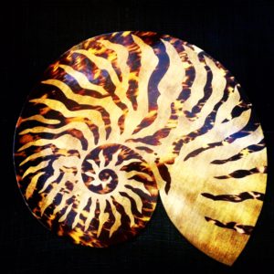 Individuales caracola