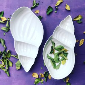 Nautilus Aperitivos