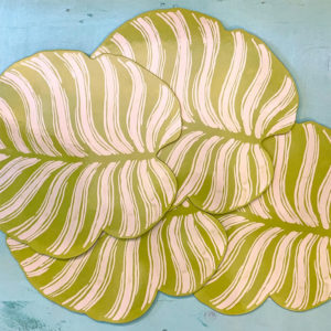 Bajoplatos tropical