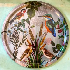 Bandeja pájaros