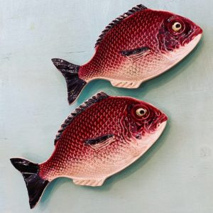 Fuente peces