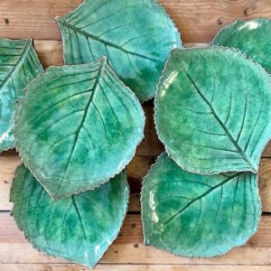 Hoja Hydgrangea verde