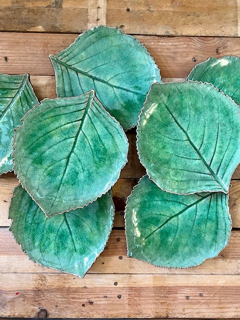 Hoja Hydgrangea verde