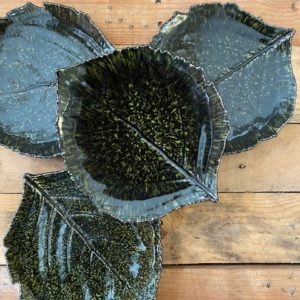 Hoja hydrangea oscura