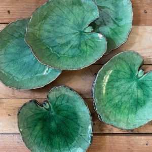 Hoja nenúfar verde
